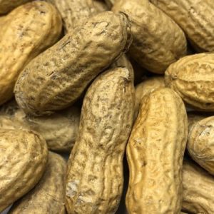Roasted Peanuts in Shell