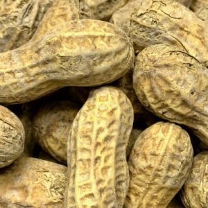 Salted Peanuts in Shell