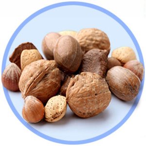 In Shell Nuts